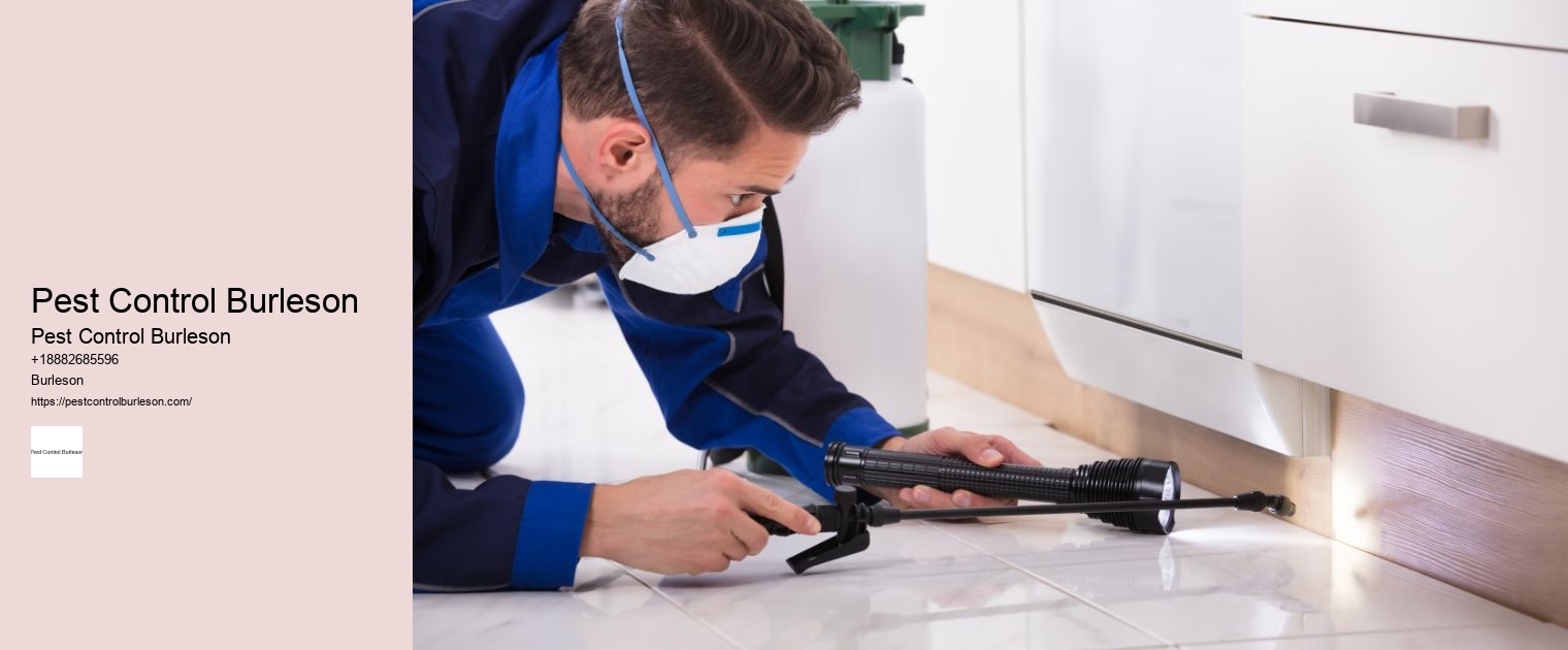 How Long Should I Stay Out of The House After Pest Control