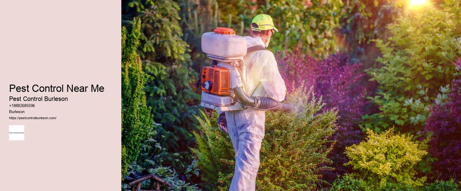 Pest Control Near Me