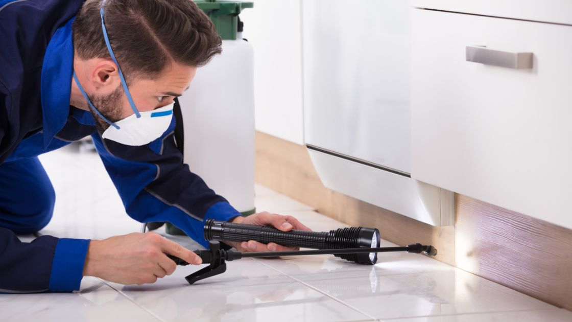 Residential Pest Control